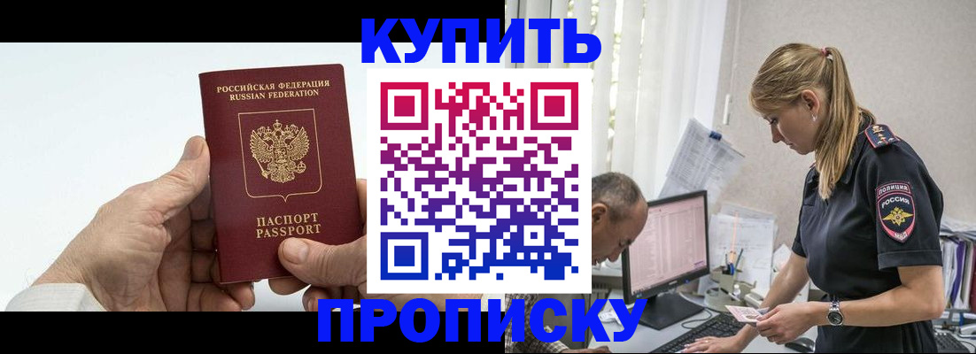прописка поиск в Шлиссельбурге
